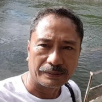 NELSON DAVID