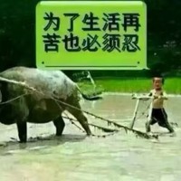 施於人