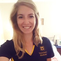 Claire Steward