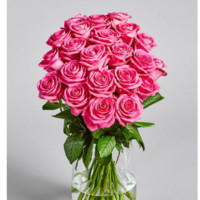 Islam Elsadek