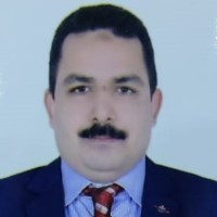 Mohamed Said  Attia