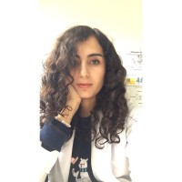 saeideh ebrahimi