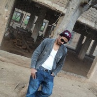 Gull Shami