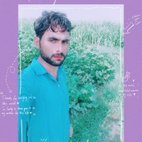 M Shahzad