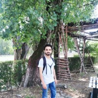 Syed Hamza Ali Kazmi