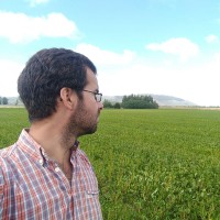 Juan Fernández Miganne