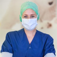 Joyce Van Alphen