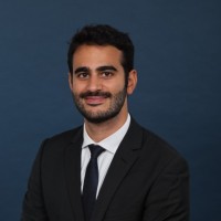Arya Hamedani