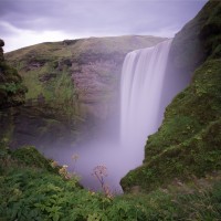 Rohit Kothawale(test)