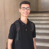 Anas elsayed
