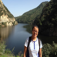 Hong Zhu