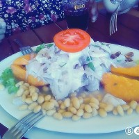 RODOLFO MANUEL HERNANDEZ CURO