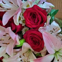 Rose Rivera