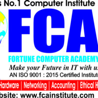 Fca Institute