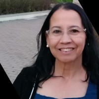 BERENICE DE LOURDES MENDES DE CASTRO