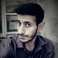 Syed Mohd Mujtaba Naqvi