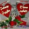 Andoussi Badr