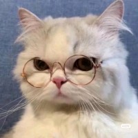 龚玉婷