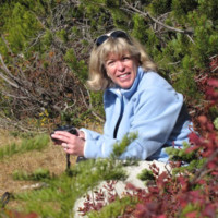 Kim Mayhew