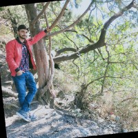 Bimlendu Tripathi