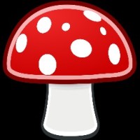 Xpolka Finance