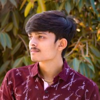 Parth Bhayani