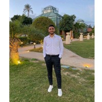 Mohamed Fawzi