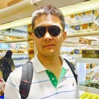 焦智虹
