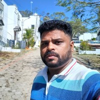 Sarathi P