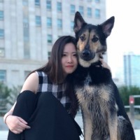 Jingyi Wu