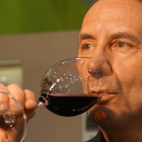 Lambrusco Il Portale