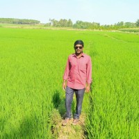 GURUMURTHY L