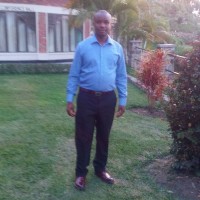 Alex Gisoi