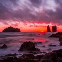 Maria Emília Brandão