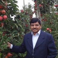 Sunil Awari