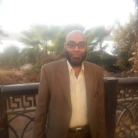 Mohamed Kenawy, MSc.