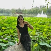 Wenwen Liu