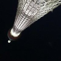 Frédérique ROMANO DRIGNY