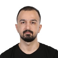 Behnam Isapour
