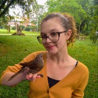 Sonia Violante Ptasznik