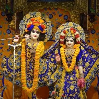 vinay kushwaha