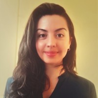 Brenda Manescau Ferreira