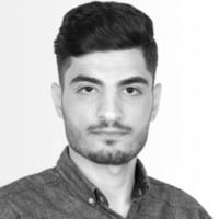 Amir Hossein Salimidoost