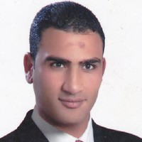 Elsayed Shawky