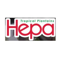 HEPA FRESH PLANTAINS