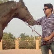 AJAY PRATAP SINGH RATHORE (TH. DEOLI )