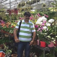 Santosh Taose
