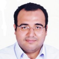 Hussein E. M. Hussein
