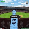 Nitheesh N P