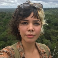 Aline Cipriano Valentim Bastos